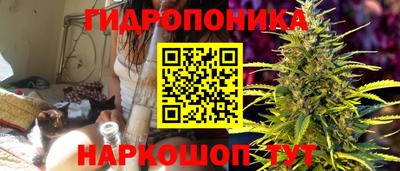 молекула духа Шебекино