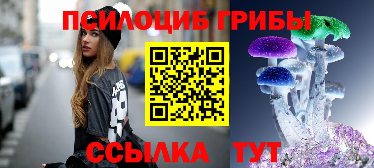 Псилоцибиновые грибы мухоморы  Вход с VPN  Псилоцибиновые грибы GOLDEN TEACHER  Брянск 